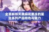 全面解析天美麻花果冻的星空系列产品特色与魅力