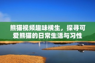 熊猫视频趣味横生，探寻可爱熊猫的日常生活与习性