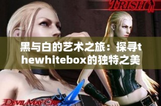 黑与白的艺术之旅：探寻thewhitebox的独特之美