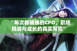 “每次都被揍的CPO，职场挑战与成长的真实写照”