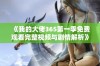 《我的大佬365第一季免费观看完整视频与剧情解析》