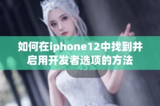 如何在iphone12中找到并启用开发者选项的方法