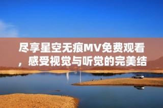 尽享星空无痕MV免费观看，感受视觉与听觉的完美结合