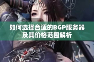 如何选择合适的BGP服务器及其价格范围解析