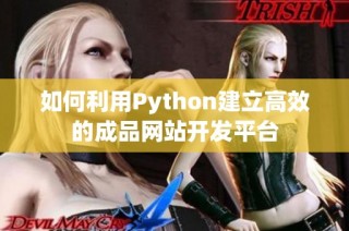 如何利用Python建立高效的成品网站开发平台