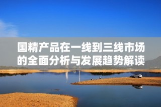 国精产品在一线到三线市场的全面分析与发展趋势解读