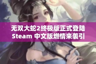 无双大蛇2终极版正式登陆Steam 中文版燃情来袭引发玩家热议