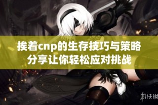 挨着cnp的生存技巧与策略分享让你轻松应对挑战