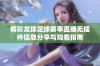 精彩龙珠足球赛事直播无插件信息分享与观看指南