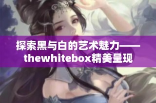 探索黑与白的艺术魅力——thewhitebox精美呈现