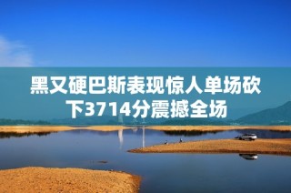 黑又硬巴斯表现惊人单场砍下3714分震撼全场