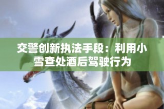 交警创新执法手段：利用小雪查处酒后驾驶行为