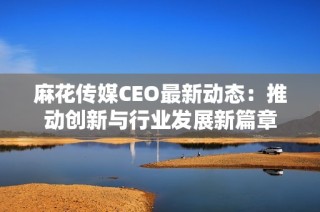 麻花传媒CEO最新动态：推动创新与行业发展新篇章