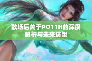 散场后关于PO11H的深度解析与未来展望