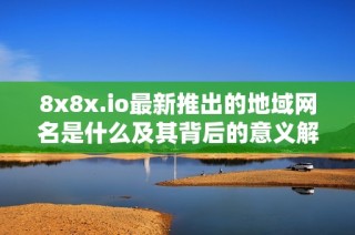 8x8x.io最新推出的地域网名是什么及其背后的意义解析