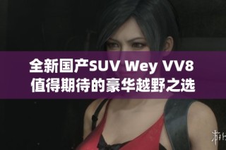 全新国产SUV Wey VV8 值得期待的豪华越野之选