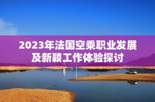 2023年法国空乘职业发展及新颖工作体验探讨