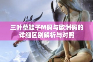 三叶草鞋子M码与欧洲码的详细区别解析与对照