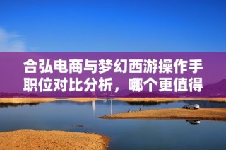 合弘电商与梦幻西游操作手职位对比分析，哪个更值得选择