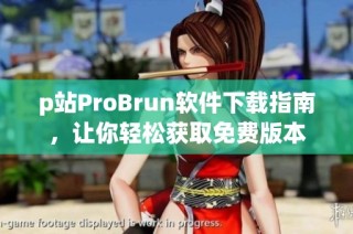 p站ProBrun软件下载指南，让你轻松获取免费版本