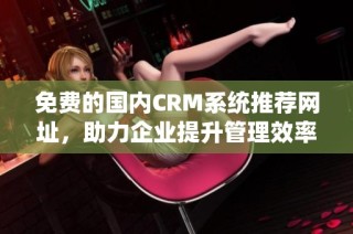 免费的国内CRM系统推荐网址，助力企业提升管理效率