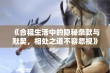 《合租生活中的隐秘条款与默契，相处之道不容忽视》