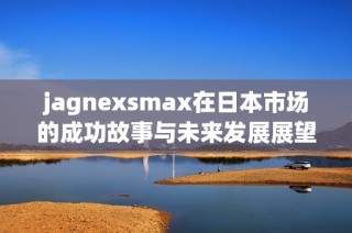 jagnexsmax在日本市场的成功故事与未来发展展望