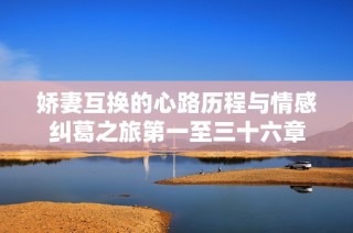 娇妻互换的心路历程与情感纠葛之旅第一至三十六章