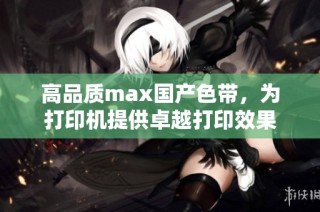 高品质max国产色带，为打印机提供卓越打印效果