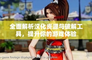 全面解析汉化资源与破解工具，提升你的游戏体验