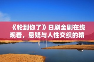 《轮到你了》日剧全剧在线观看，悬疑与人性交织的精彩旅程