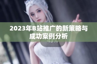 2023年B站推广的新策略与成功案例分析