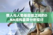 兽人与人类基因组之间的DNA结构差异分析探讨