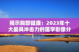 揭示胸部健康：2023年十大最具冲击力的医学影像分析