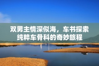 双男主情深似海，车书探索纯粹车骨科的奇妙旅程