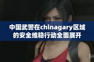 中国武警在chinagary区域的安全维稳行动全面展开