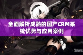 全面解析成熟的国产CRM系统优势与应用案例