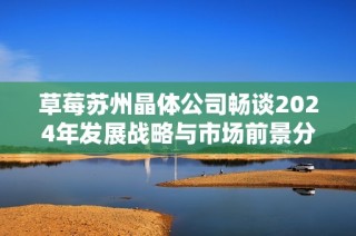 草莓苏州晶体公司畅谈2024年发展战略与市场前景分析