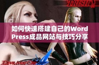 如何快速搭建自己的WordPress成品网站与技巧分享