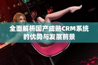 全面解析国产成熟CRM系统的优势与发展前景