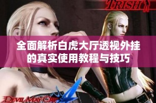 全面解析白虎大厅透视外挂的真实使用教程与技巧