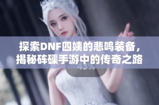 探索DNF四姨的悲鸣装备，揭秘砗磲手游中的传奇之路