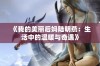 《我的美丽后妈陆明燕：生活中的温暖与奇遇》