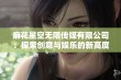 麻花星空无限传媒有限公司：探索创意与娱乐的新高度