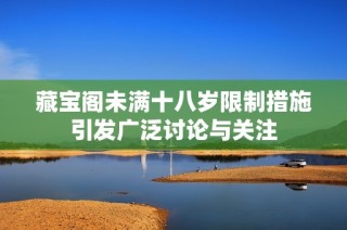 藏宝阁未满十八岁限制措施引发广泛讨论与关注