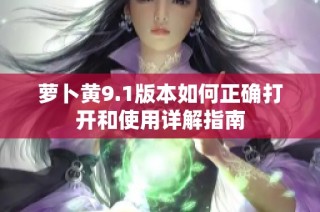 萝卜黄9.1版本如何正确打开和使用详解指南