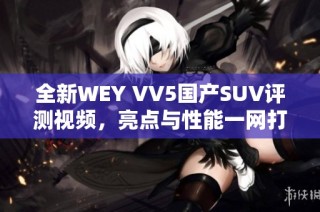 全新WEY VV5国产SUV评测视频，亮点与性能一网打尽