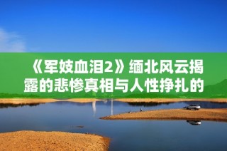 《军妓血泪2》缅北风云揭露的悲惨真相与人性挣扎的深刻故事