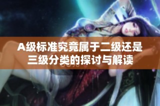 A级标准究竟属于二级还是三级分类的探讨与解读