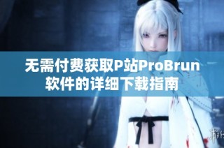 无需付费获取P站ProBrun软件的详细下载指南